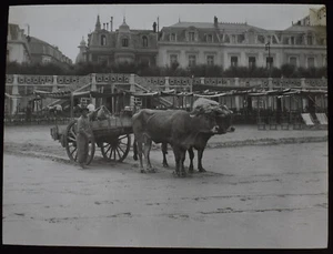 OX CART ON SAN SEBASTIAN BEACH SPAIN C1910 Magic Lantern Slide PHOTO - Picture 1 of 5