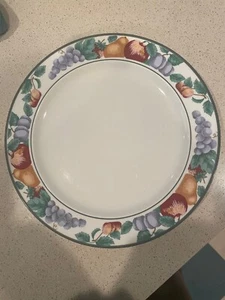 Intro Stoneware Orchard Dinner Plates Tienshan 10.75" EXCELLENT CONDITION - Picture 1 of 2