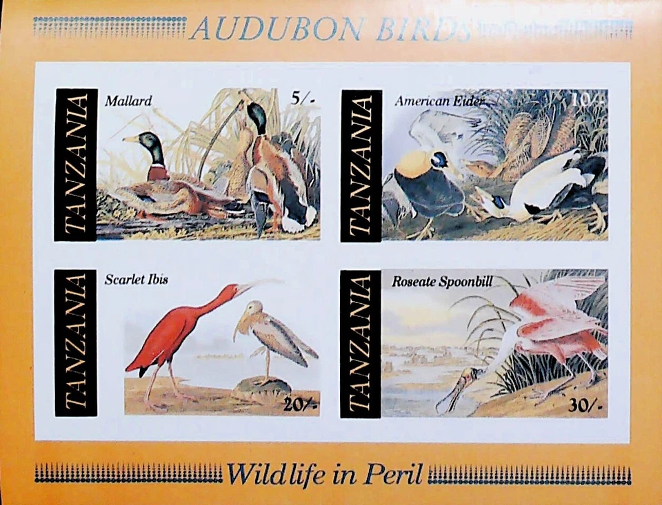Ошибка Танзания Одюбон Птицы Дикая природа в Опасности Кряква Эйдер Как новая без наклеек и следов ** Лист 16306 - Изображение 1 из 1