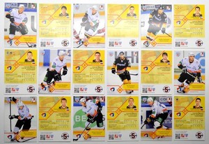 2012-13 KHL Severstal Cherepovets - Pick a Player Card