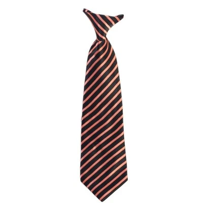 Boys Ties Clip On Neck Ties Solid Striped Satin Size Kids Toddler Boys New Tags - Image 1 of 2