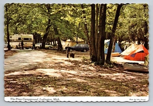 The Pines Campground Ludington State Park Michigan Vintage Postkarte - Bild 1 von 2