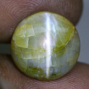 12.29 Cts_Loose Gemstone_100 % Natural Unheated Chrysoberyl Cat's Eye_India - Picture 1 of 3