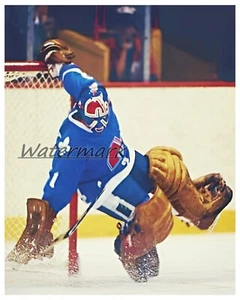NHL Quebec Nordiques Portiere John Garrett Gioco Azione Colore 8 X 10 Foto Immagine - Foto 1 di 1