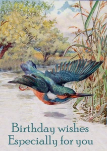 HAPPY BIRTHDAY GRUSSKARTE SCHÖNER VOGEL " EISVOGEL IM FLUG " - Bild 1 von 1