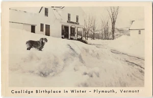 Coolidge Geburtsort, Winter RPPC Plymouth, VT Hund im Schnee Vintage Postkarte 1940er - Bild 1 von 2