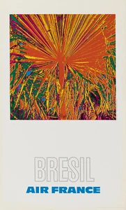 Affiche ancienne originale - Raymond Pages - Air France - Brésil - Avion - 1971 - Photo 1/4