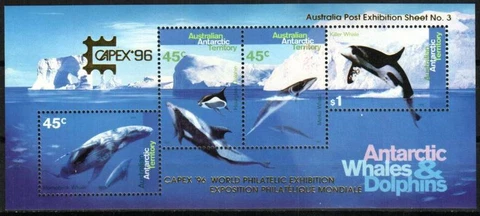 Australian Antarctic Territory Stamp L97c - Whales and Dolphins Cover