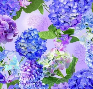 BOLT END 35 INCHES Hydrangea Bliss by Chong A Hwang Large Flower Cotton Fabric - Picture 1 of 1