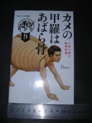 The shell of a turtle is a rib Animal Picture Book Represented by the Human Body - Image 1 of 4