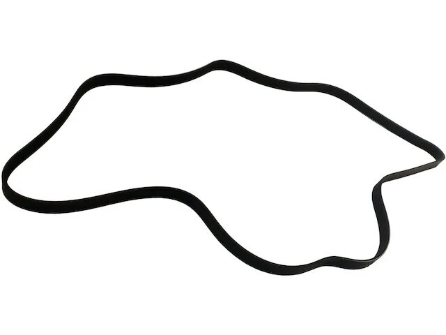 Cinturón multi costilla para Jeep Compass 2007-2017 2014 2008 2009 2010 2011 2012 KR728DD Foto 1 de 1