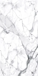 Bodenfliese Feinsteinzeug Visage Grey Plus 120 x 240 cm weiß  Bodenfliese - Bild 1 von 2