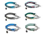 Ruffwear Chain ReactionTM Collar Hundehalsband Hund in div. Farben und Größen