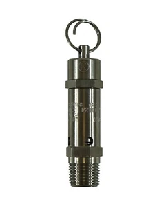 Válvula de alivio de asiento duro de acero inoxidable Kingston 1/2"" NPT 300 PSI / 269 SCFM - Imagen 1 de 5