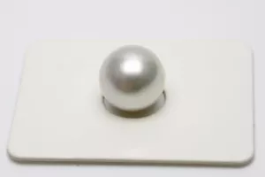 Perla dei mari del sud sfusa entrambi i fori 10 mm colore bianco - Foto 1 di 3