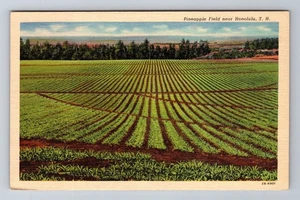 Postal antigua de recuerdo vintage de Honolulu HI-Hawaii, campo de piña - Imagen 1 de 2