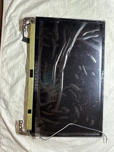 Dell Alienware Area-51m R2 17.3" FHD 144Hz GSYNC LCD Screen Assembly CMTD2 S3# - Bild 1 von 5