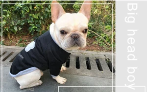 Dog Bone Basic Sweatshirt Shirt Sweater Pet Coat Basic XS to XL for SMALL Dog or - Imagen 1 de 12