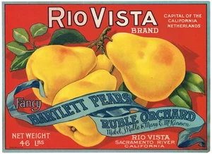 ETICHETTA CASSA ORIGINALE VINTAGE PERA C1920S RIO VISTA RUBLO FRUTTETO McKINNON BELLA - Foto 1 di 1