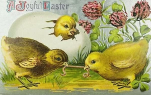 Antigua postal de Pascua de 1916 dos pollitos peleando por gusano con pollito incubador - Imagen 1 de 3