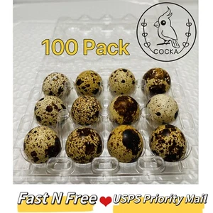 100PC Quail egg Cartons 1 dozen 12 eggs plastic holder Free Shipping COCKA - Picture 1 of 8