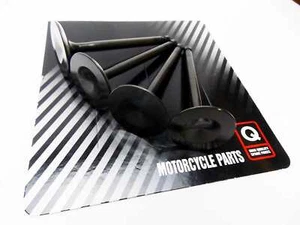 KAWASAKI Z1B 1975 FORSETI INLET INTAKE VALVE SET x 4 12004-012 - Picture 1 of 3