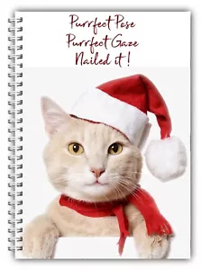 A5 HAUSTIER WEIHNACHTEN WEIHNACHTEN KATZE KÄTZCHEN NIEDLICHES NOTIZBUCH 100 LINIERTE LEERE SEITEN NOTIZBLOCK - Bild 1 von 2