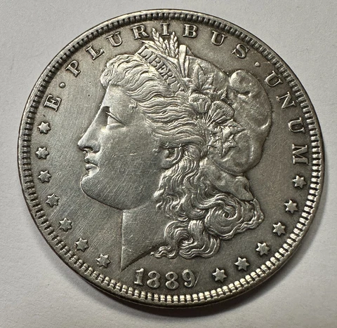 1889 (P) Morgan Silver Dollar Better Choice Grade. #3124 Cover