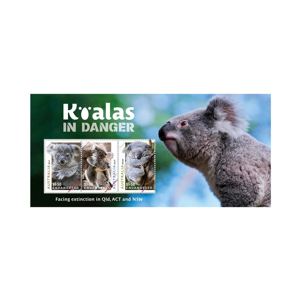 Australia - Koalas in Danger - Image 1 of 1