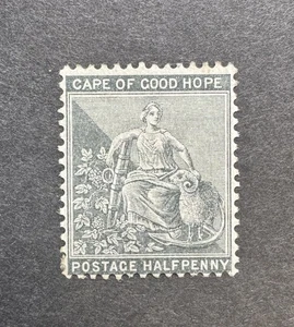 Cape of Good Hope QV SG 28 1/2d grau-schwarz NEUWERTIG - KATZE 40£ - Bild 1 von 2