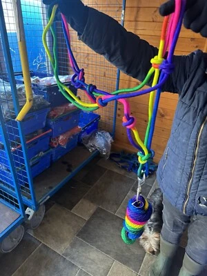Rainbow Pressure Head Collar - Image 1 of 4