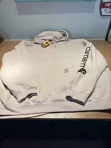 Carhartt K288-G68 LOGO SLEEVE HOODED SWEATSHIRT PINK - Bild 1 von 4