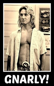 4,5" lustige Jeff Spicoli GNARLY! vinyl aufkleber. Classic Fast Times bei Ridgemont - Bild 1 von 2