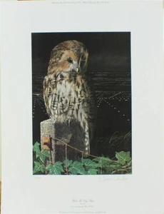 PRINT/TAWNEY OWL/WHILE THE CITY SLEEPS/Chris Shields/ROYALE PRINT/signed ltd ed/ - Picture 1 of 1