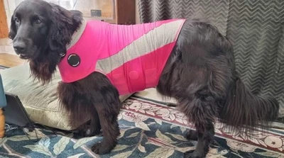 ThunderShirt Anxiety Calming Vest Coat for Dogs , XL Fuchsia Platinum, Pink. NEW - Image 1 of 4