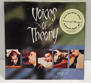 Voices Of Theory Say It CD Single New Sealed 1998 Rare Dimelo Spanish Track R&B - Imagen 1 de 6
