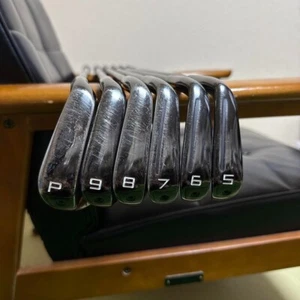 TaylorMade P790 Black Iron set 5-pw / Dynamic Gold 105 vss S200 - Picture 1 of 6