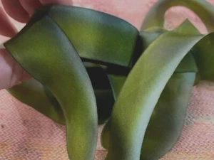silk ribbon 1" on the bias hand dyed 1yd made in USA mossy rock - Picture 1 of 4