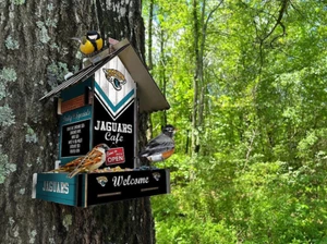 Alimentador de aves Jacksonville Jaguars por creaciones de fanáticos - Imagen 1 de 1