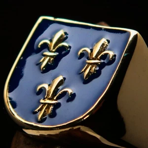 SHIELD SHAPED MENS BRASS KNIGHT RING ROYAL FLEUR DE LIS SEAL BLUE SIZE 5 - Picture 1 of 7