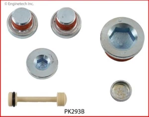 FITS  1999-2017 GM 4.8, 5.3, 6.0 STEEL THREADED EXPANSION PLUG KIT - Picture 1 of 1