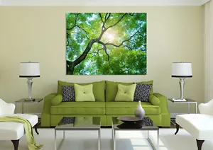 3D Sonnenlicht Grüner Baum 333 Fototapeten Wandbild BildTapete AJSTORE DE Lemon - Picture 1 of 5