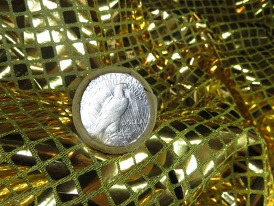 ROLLO DE 20 DÓLARES DE PLATA DE LA PAZ S EXTREMO/S CONTENEDOR SS661 Foto 1 de 4