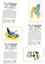 FLIGHT THE WORLDS MOST SPECTACULAR BIRDS FULL SET 12 CARDS CADBURYS ISSUE 1983