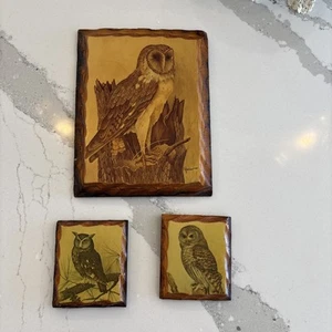Targa arte parete vintage gufi 3 fette di legno decoupage lastra retrò MCM Yellowstone - Foto 1 di 8