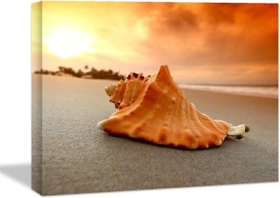 Picture Print Canvas Wall Art Home Deco Ocean Seashell Beach Nature Love Office - Image 1 of 4