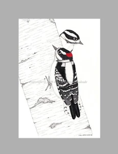 Downy Woodpecker Pair Ink Pointillism Print by Cheryl Garman-Andrade. 4" X 6" - Picture 1 of 2