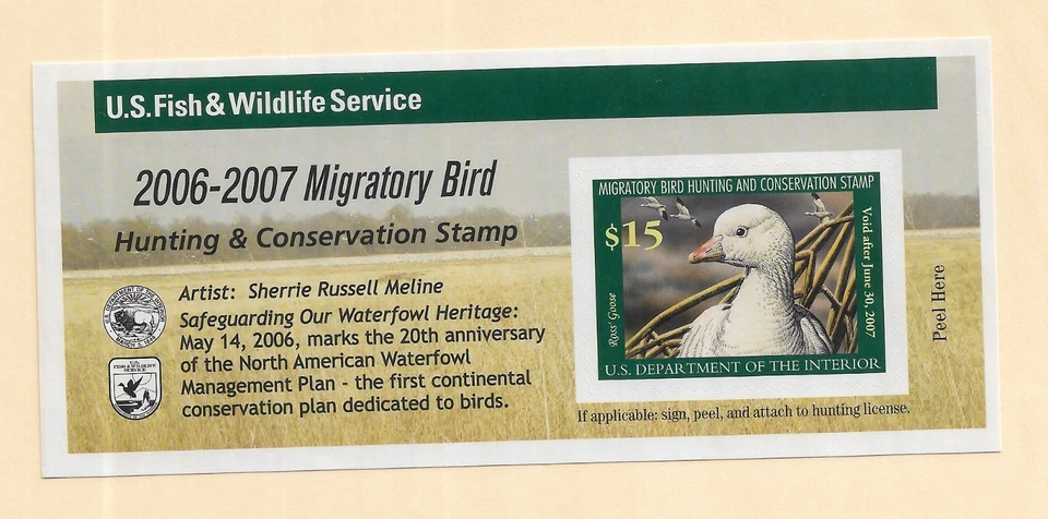 $15.00 Federal Duck Stamp, RW73A, MNH	(64072) - Image 1 of 1