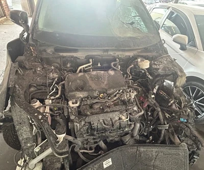 ⭐16-25 Toyota Rav4/Tacoma/Sienna/Corolla/Crown OIL FILLER CAP OEM (12180-38010)⭐ — 第 1/4 张图片