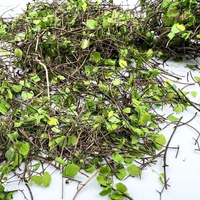 Vines Fallen Leaves HO/OO Model Scale Miniatures Green Plants War Game Scene - image 1 of 3